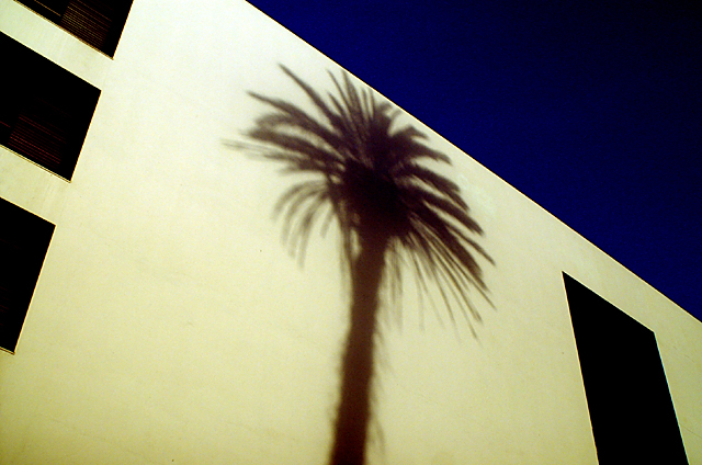 previous picture