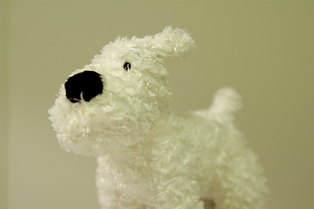 previous picture