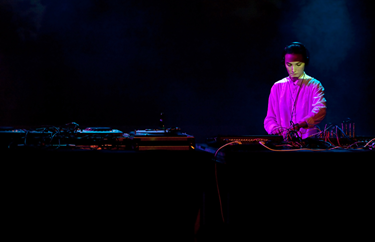 The Bird Who Fell to Earth