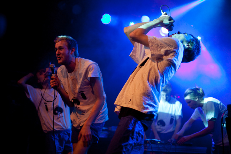 Den Svenska Bj&ouml;rnstammen