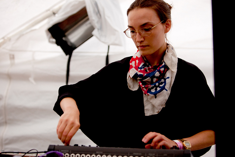 The Bird Who Fell to Earth